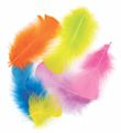 Feathers