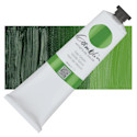 Gamblin Artist's Oil Color - Sap Green, 150 ml tube
