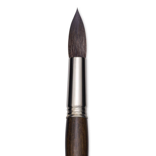 Are Escoda Watercolor Brushes Worth The Hype? 