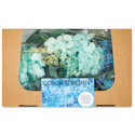 Colorberry Dried Flower Collection Resin Additives - Blue and Green