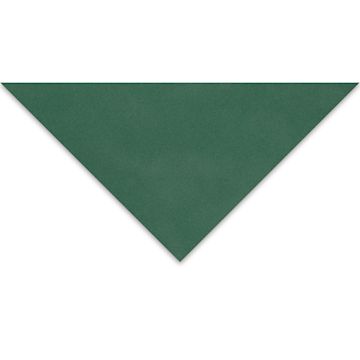 Open in modal - Clairefontaine Pastelmat Sheet - 19-1/2" x 27-1/2", Dark Green, 1 Sheet