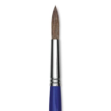 Open in modal - Blick Scholastic Camel Hair Brush - Round, Short Handle, Size 14 close up