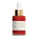 Tom's Studio Calligraphy Ink - Pumpkin, 30 ml