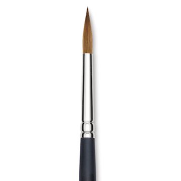 Open in modal - Blick Masterstroke Finest Red Sable Brush - Round, Size 16, Long Handle close-up