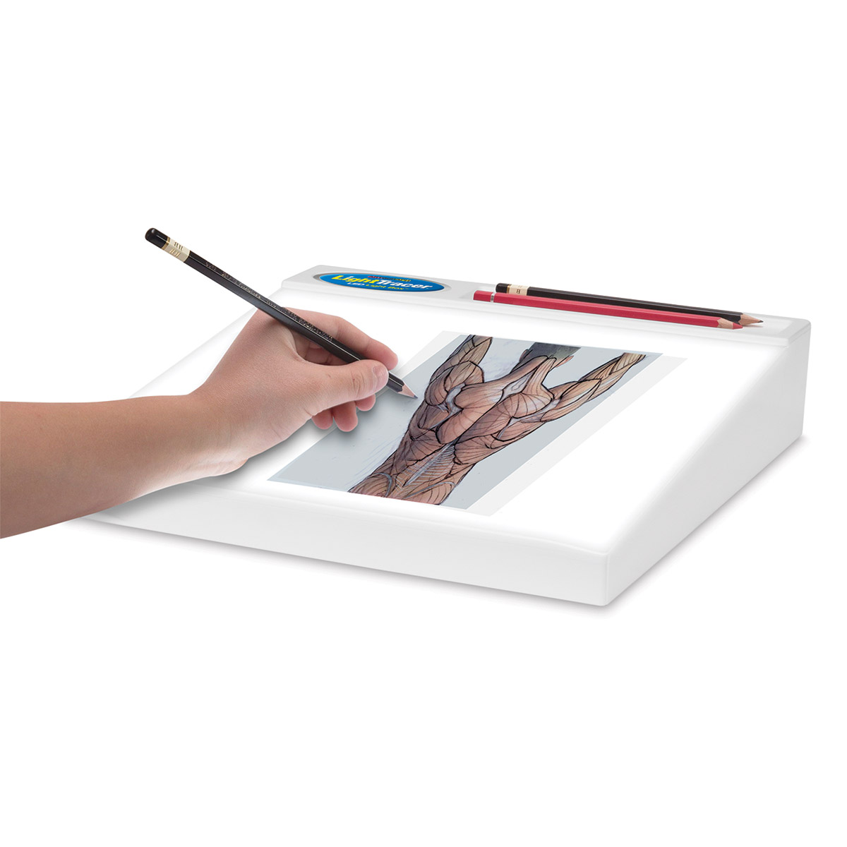 Artists Light Boxes 