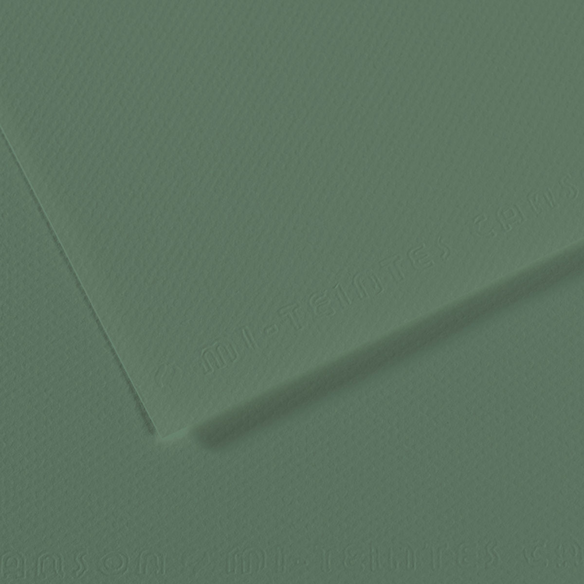 Canson Mi-Teintes Drawing Paper - Sage Green 19 x 25