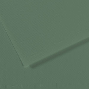 Canson Mi-Teintes Drawing Paper - 19" x 25", Sage Green, Single Sheet