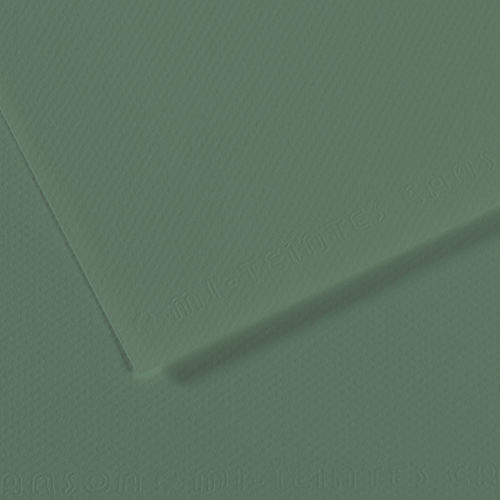 Canson Mi-Teintes Drawing Paper - 19 x 25, Sage Green, Single Sheet