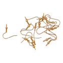 Beadalon Ear Wires - 0.63 mm, Classic, Ball & Spring, Gold, Pkg of 16