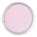 PanPastel Artist Painting Pastel - Primary Magenta Tint, 410.8