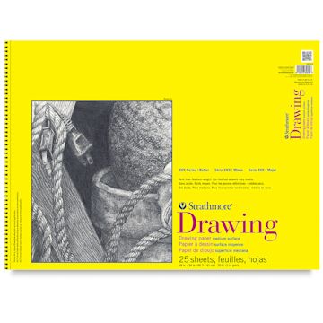 Open in modal - Strathmore 300 Series Drawing Pad - 18" x 24", Wire Bound, front cover