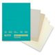 Legion Stonehenge Drawing Paper Pads - Assorted Colors