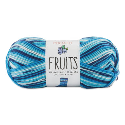 Premier Yarn Fruits Yarn - Blueberry (yarn skein with label)