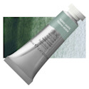 Winsor & Newton Professional Watercolor - Terre Verte, 14 ml Tube
