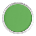 PanPastel Artists Painting Pastel - Permanent Green, 640.5