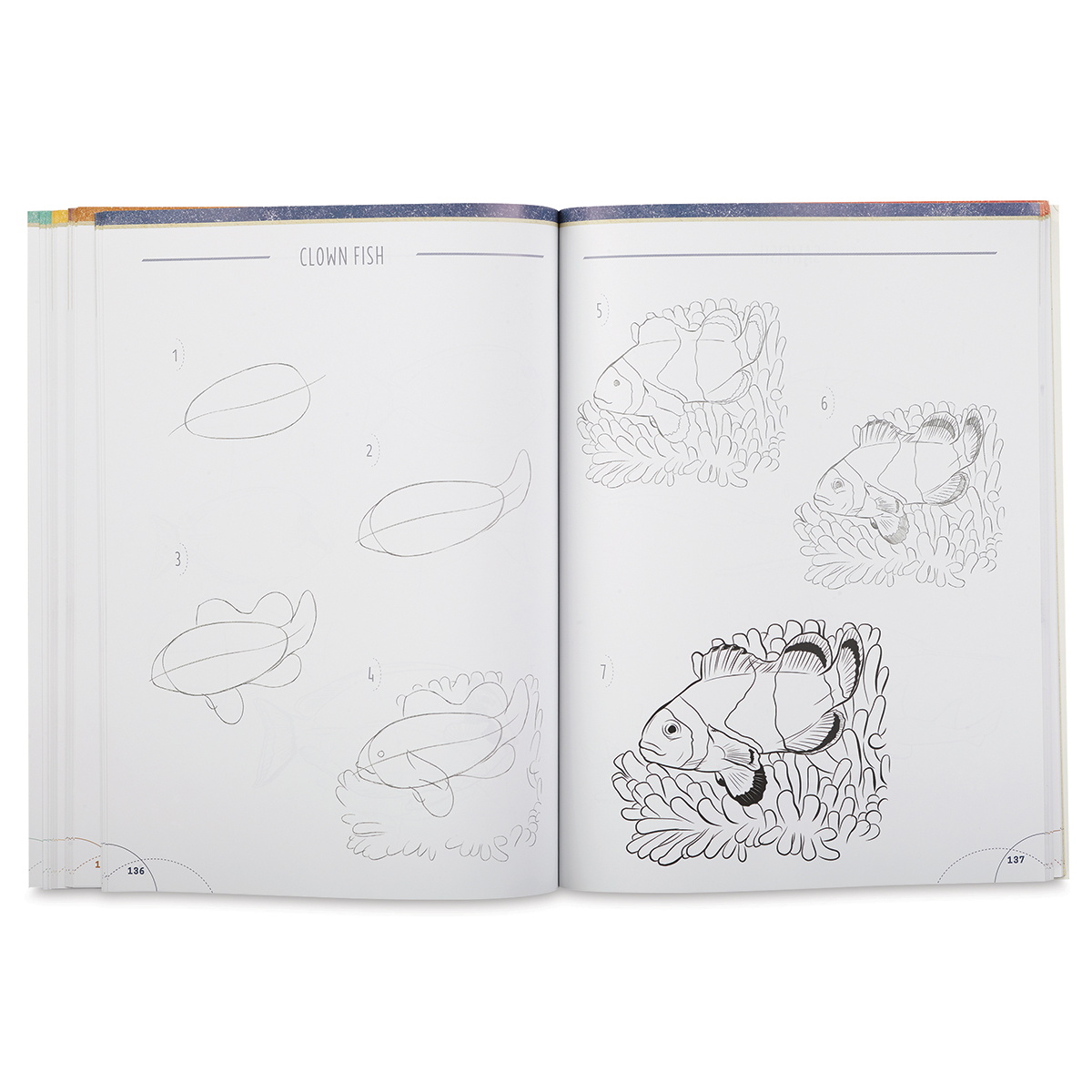 Big Book Of Drawing Animals Blick Art Materials