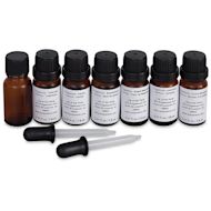 Life of the Party Invent-A-Scent