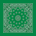 Hav-A-Hank Paisley Bandana - Kelly Green, W x L