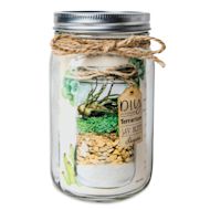 SuperMoss DIY Terrarium Jar Kits