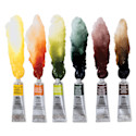 Winsor & Newton Professional Watercolor - Set of 6, Rich Earth, 5 ml Tubes