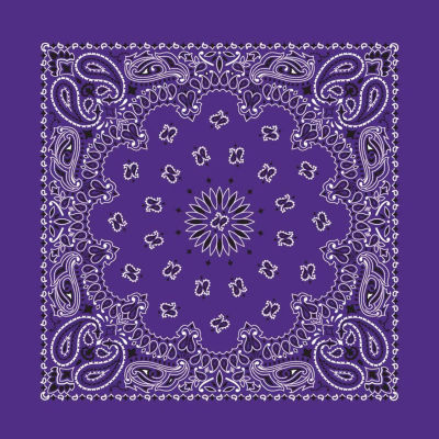 Hav-A-Hank Paisley Bandana - Purple, 22" W x 22" L