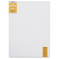 Blick Premier Stretched Cotton Canvas - Gallery Profile, Back-Stapled, 30" x 40"