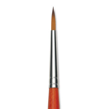 Raphael Golden Kaerell Brush - Pointed Round, Short Handle, Size 2, close-up