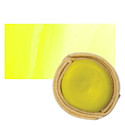 Beam Paints Watercolor Paintstone - Grasshopper