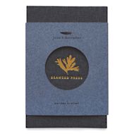June & December Pocket Seaweed Press