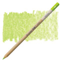 Bruynzeel Design Pastel Pencil - Lime 64