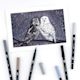 Tombow Dual Brush Pens - Gray Scale Colors, Set of 10. Sample artwork of owls.