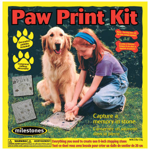 Milestones Mosaic Stepping Stone Kit - Paw Print (Front of packaging)