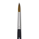 Princeton Aqua Elite Series 4850 Synthetic Brush - Round, Size 10, Short Handle