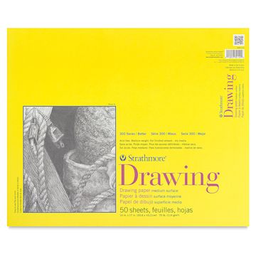 Open in modal - Strathmore 300 Series Drawing Pad - 14" x 17", Glue Bound, front cover