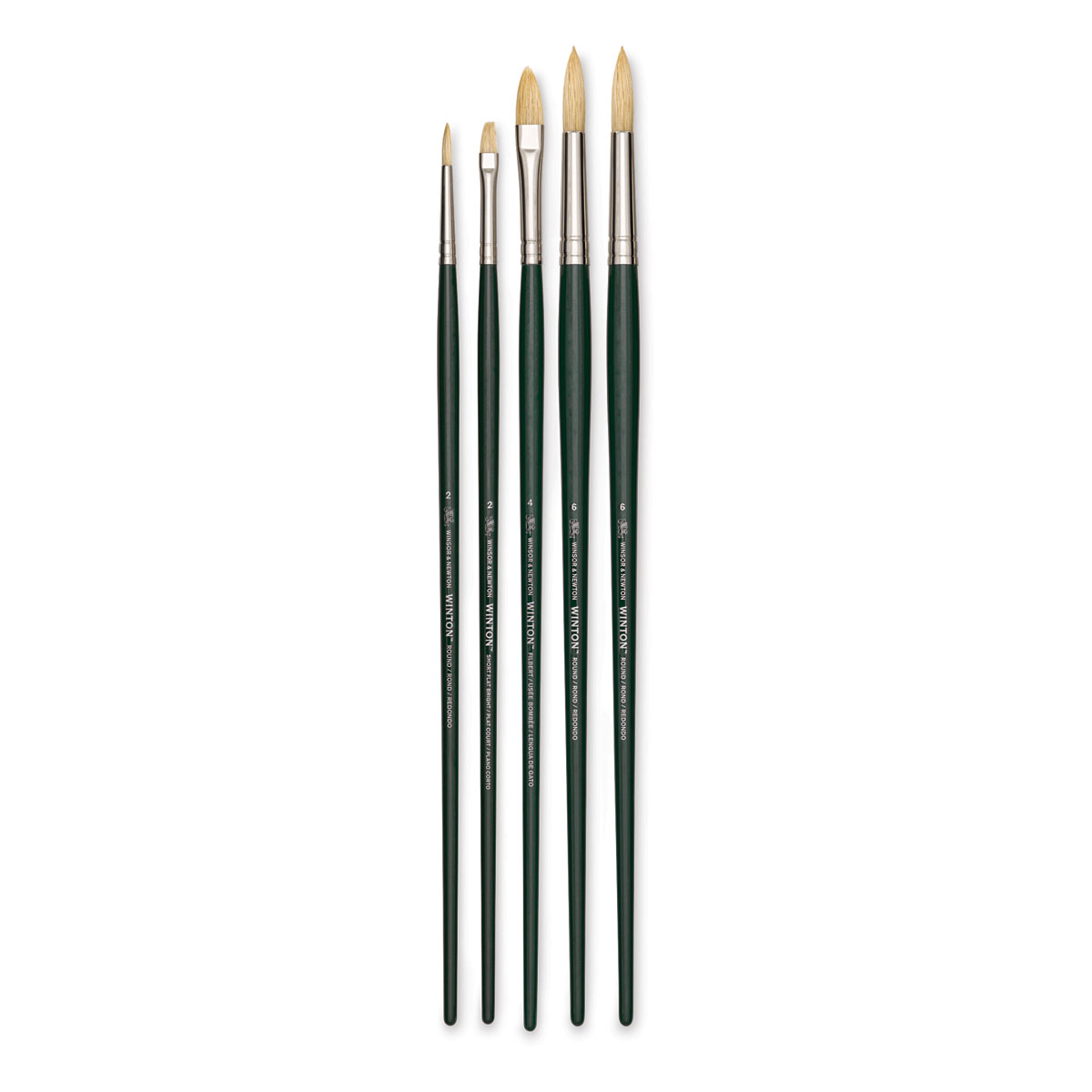 Brush Set - Winsor & Newton Winton Oil Brush Set - Victoria Art Gallery