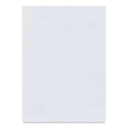 Hahnemühle Ingres Paper - 18-3/4" x 24-3/4", Bright White, Single Sheet