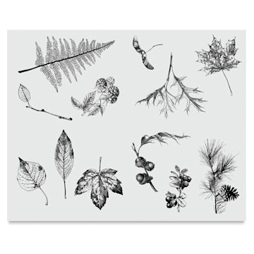 Open in modal - Mayco Designer Silkscreens - Screen of various Leaves shown