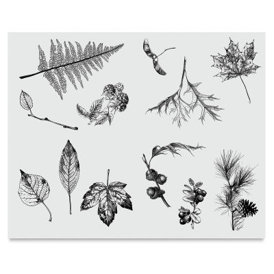 Mayco Designer Silkscreens - Screen of various Leaves shown