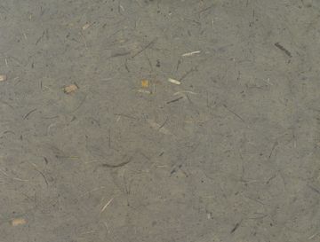 Open in modal - Thai Banana Paper - Full sheet of Clay color paper 