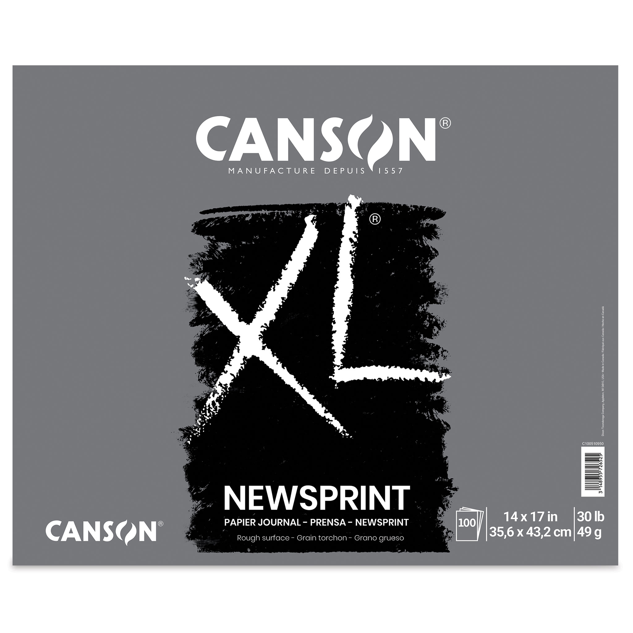 Renewed 100 Sheet Pad Canson Biggie Newsprint Pad 18 x 24 Inches 