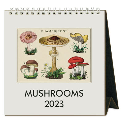 Cavallini 2023 Desk Calendar - Mushrooms (Front cover)