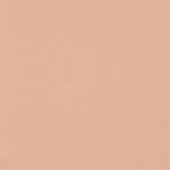 Camelot Nylon Span Interlock Fabric Bolts