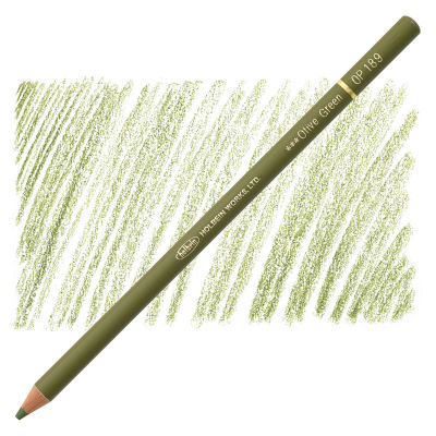 Holbein Artists' Colored Pencil - Olive Green, OP189