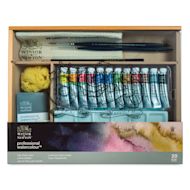 Winsor & Newton Professional Watercolor - Set of 12, Studio Case, 5 ml Tubes