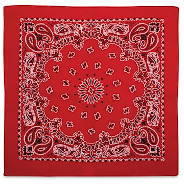 Carolina Paisley Bandana - Red | BLICK Art Materials