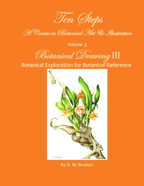 OM Art Designs Supply List: Botanical Drawing III - Bundles