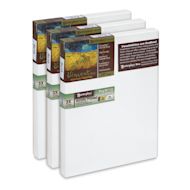 Masterpiece Vincent Pro Sausalito Cotton Canvas - Value Pack of 3, 8" x 10" Acrylic Primed