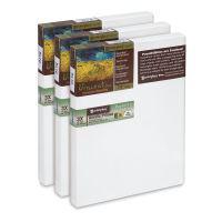 Blick Academic Cotton Stretched Canvas Pack - 8 x 10, Pkg of 2