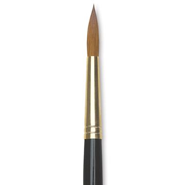 Open in modal - Da Vinci Maestro Kolinsky Brush - Full Belly Round, Short Handle, Size 8 close up