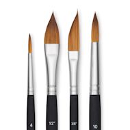 Princeton Aqua Elite Series 4850 Brushes - Blick Exclusive Set of 4